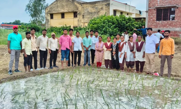 कम पानी, कम बीज… ज्यादा पैदावार का गुर सीख रहे कृषि छात्र; सर्वोदय पीजी कॉलेज के खेत में श्री विधि से की धान की रोपाई