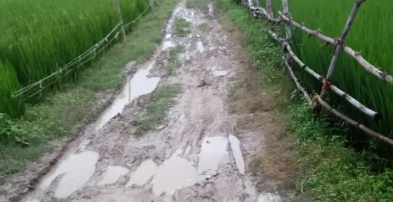 बदहाल चक मार्ग से ग्रामीण परेशान, मरम्मत की मांग